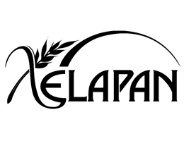 Xelapan